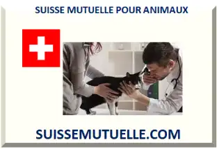 SUISSE ASSURANCE MALADIE POUR ANIMAUX 2026-2027